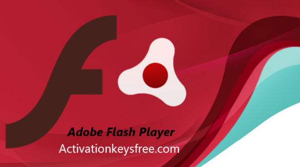 adobe flash player computer software
