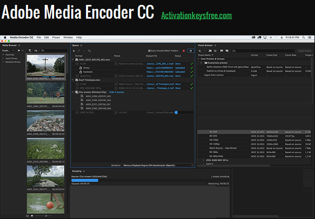 Adobe Media Encoder CC 2024 Ключ