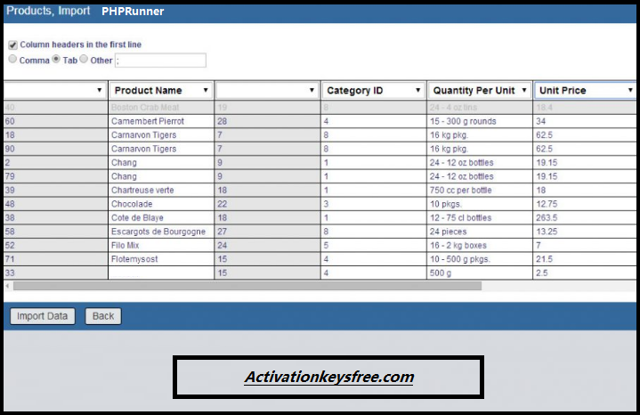 PHPRunner Pro Торрент