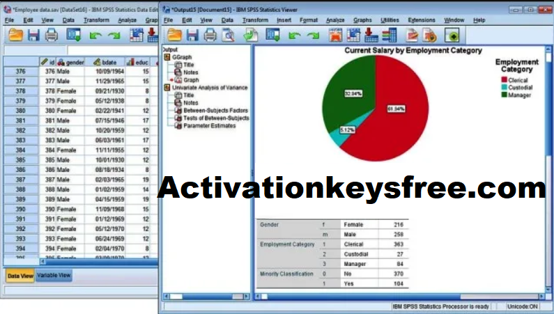 Взлом статистики IBM SPSS