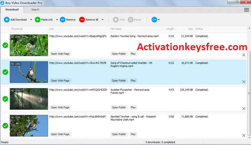 Any Video Downloader Pro Crack
