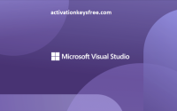 Microsoft Visual Studio crack